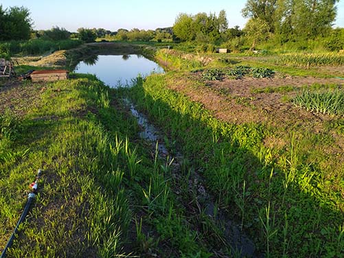 усадьба в Борщёво