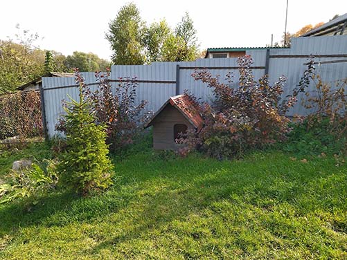усадьба в Борщёво