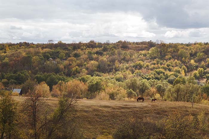 село Борщёво